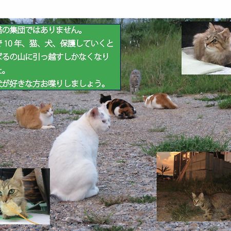 Okinawa Freedom Villa Nakijin Eksteriør bilde