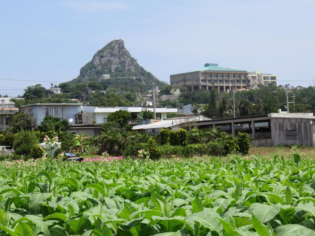Okinawa Freedom Villa Nakijin Eksteriør bilde