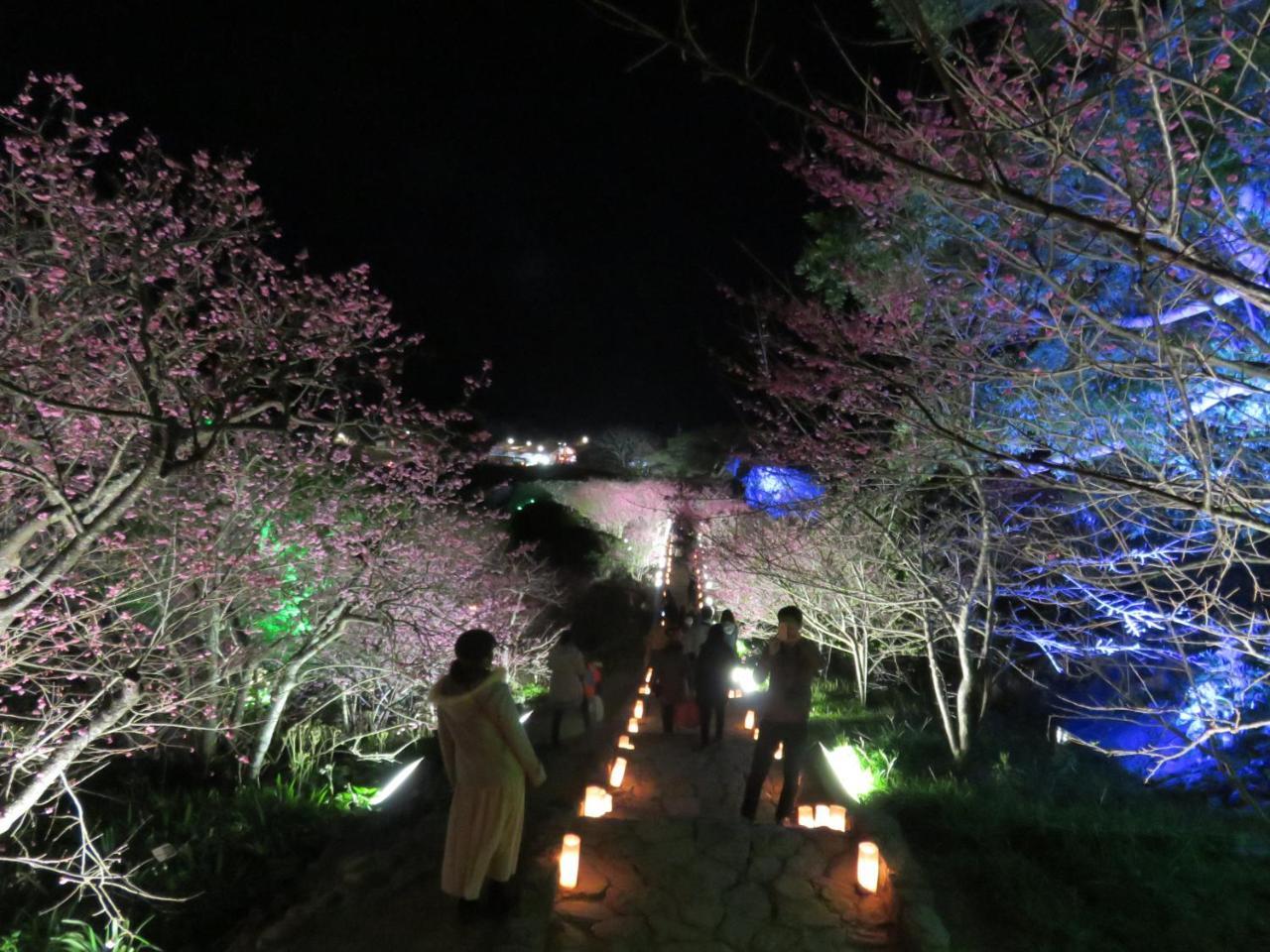 Okinawa Freedom Villa Nakijin Eksteriør bilde