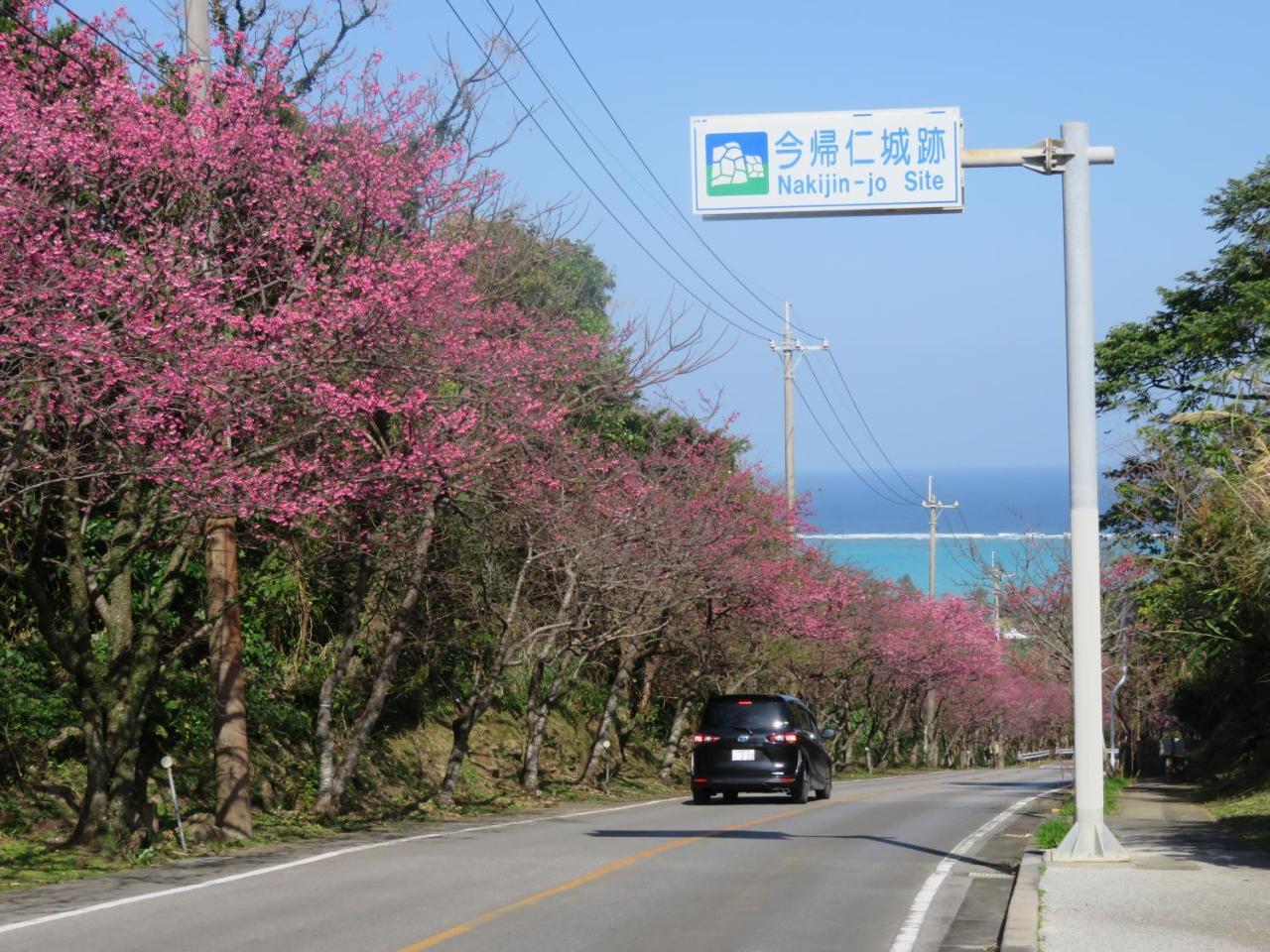 Okinawa Freedom Villa Nakijin Eksteriør bilde