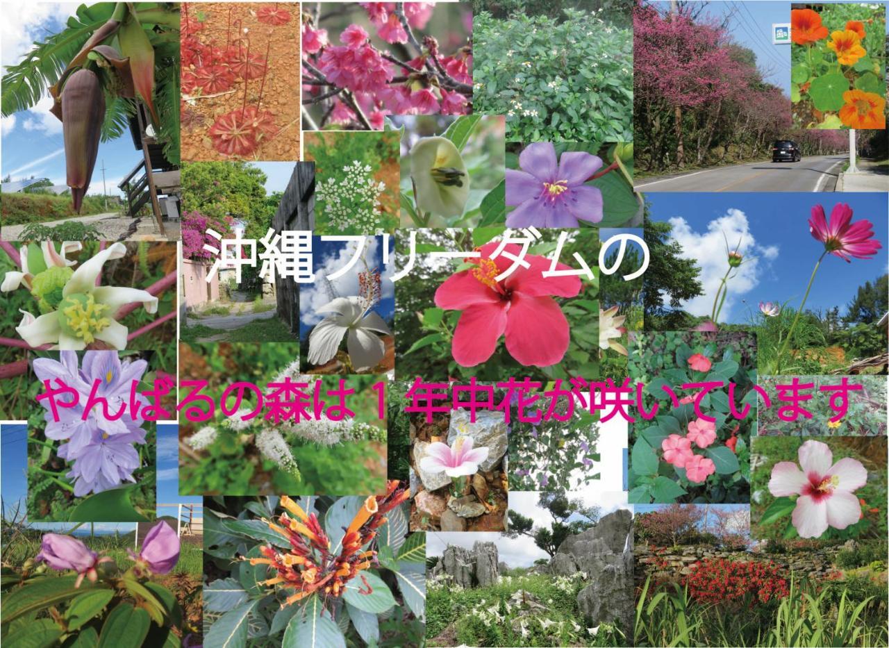 Okinawa Freedom Villa Nakijin Eksteriør bilde