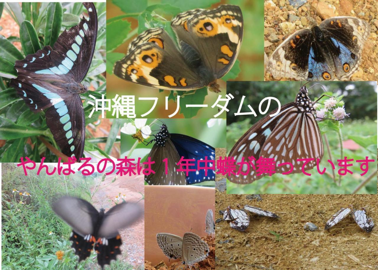 Okinawa Freedom Villa Nakijin Eksteriør bilde