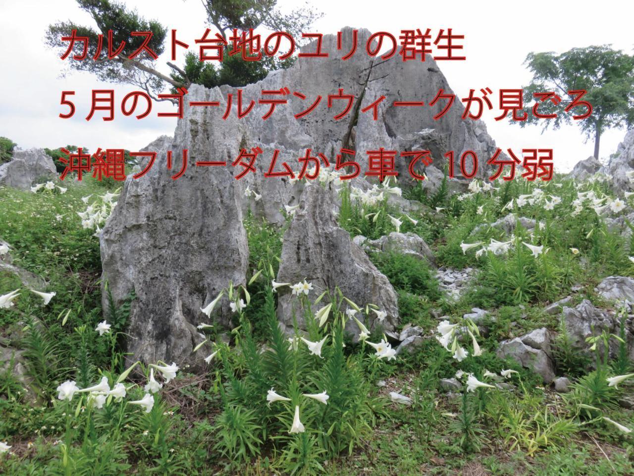 Okinawa Freedom Villa Nakijin Eksteriør bilde