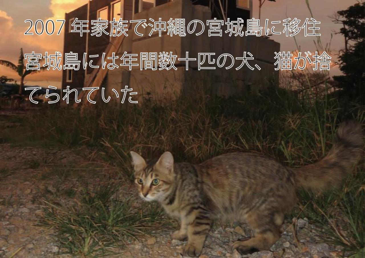 Okinawa Freedom Villa Nakijin Eksteriør bilde