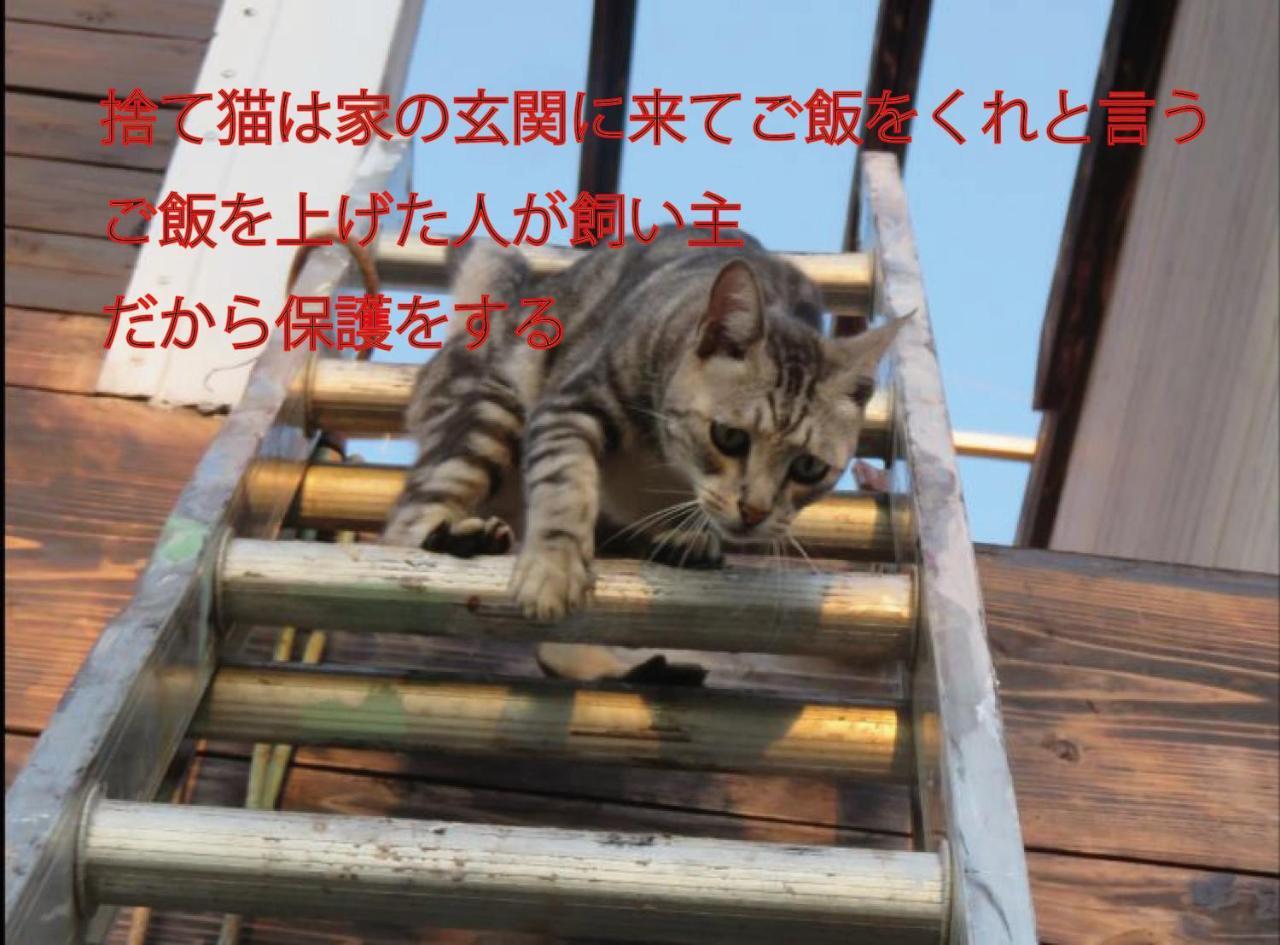 Okinawa Freedom Villa Nakijin Eksteriør bilde