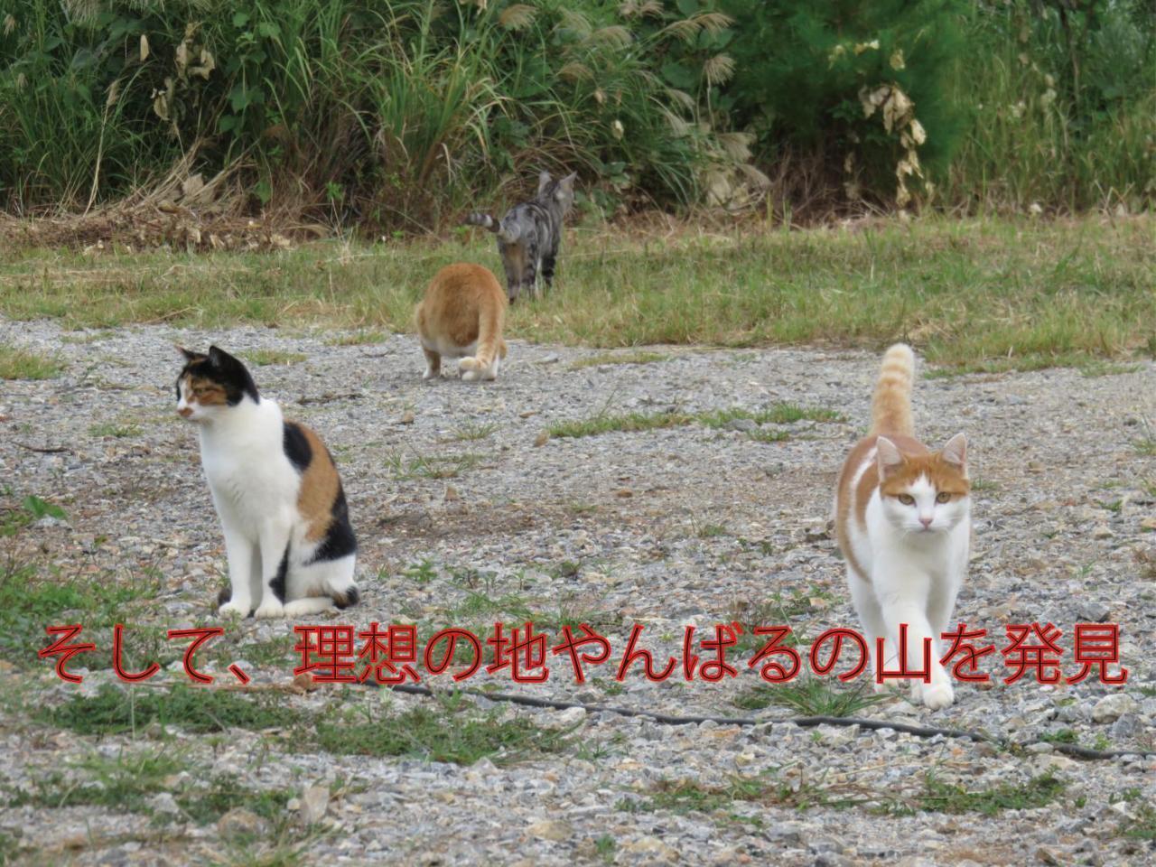 Okinawa Freedom Villa Nakijin Eksteriør bilde
